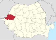 Kreis Arad