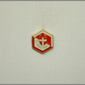 02-Fussball Sektion (F. S.) "Elektra" Wien