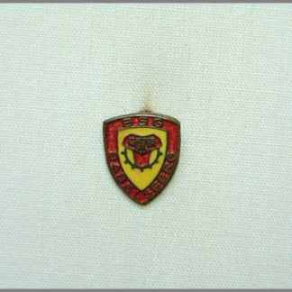 Betriebssportgemeinschaft "Motor" Babelsberg