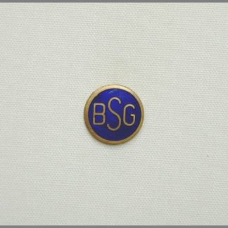 Betriebs Sport Gemeinschaft Ternitz