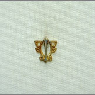 Flens Idrottsförening