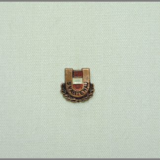 Union-Sportverein Abtenau