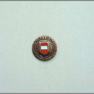 Österreichische Turn und Sportunion Hallein