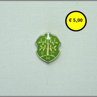 02-Fussball Club Homburg an der Saar